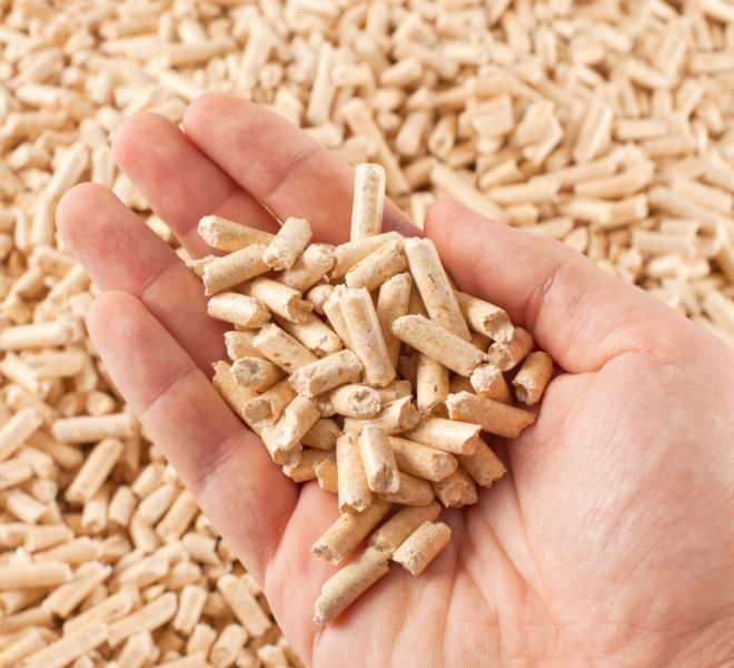 pellet